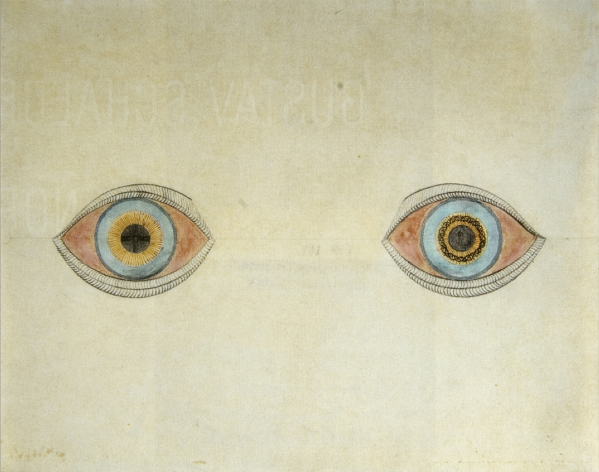 Deux grands yeux dessinés côte à côte sur une feuille jaunie, iris bleus et pupilles cerclées d'or