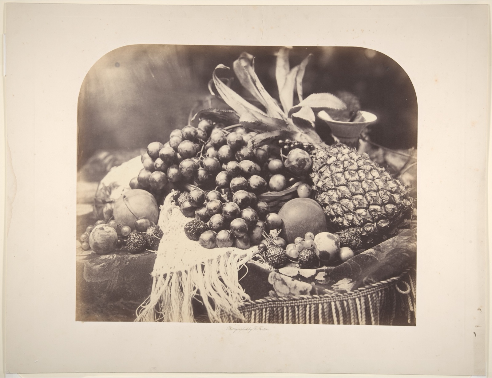 Photographie en noir et blanc d'une profusion de raisins, de fraises, de pêches et d'un ananas posés sur une étoffe à franges
