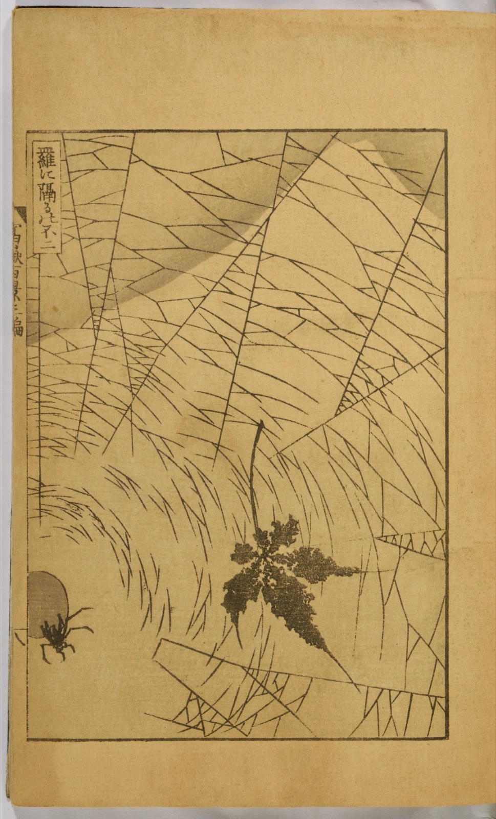 Page de livre gravée : une grande toile d'araignée occupe l'image, une feuille y est prise, l'araignée attend dans un coin ; derrière les fils se devine la silhouette du mont Fuji