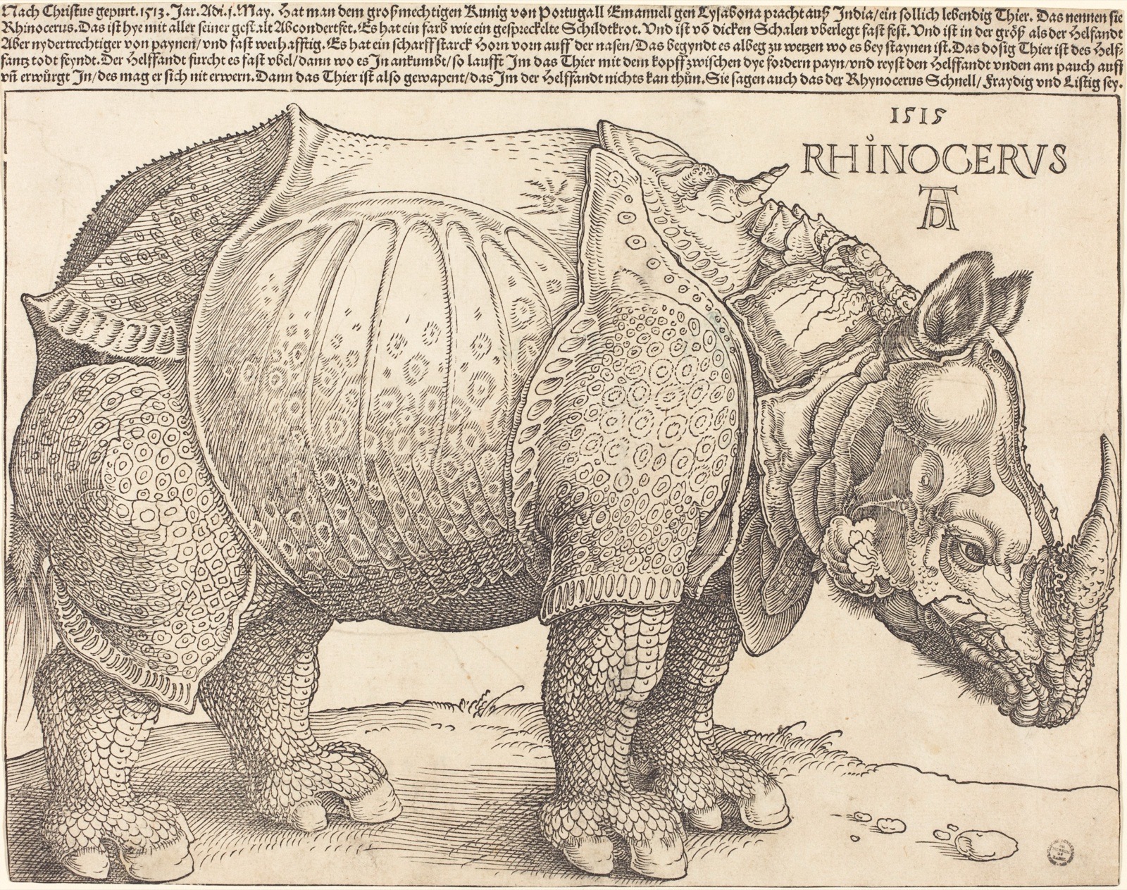 Gravure d'un rhinocéros massif, le corps couvert de plaques semblables à une armure, une petite corne sur le dos, sous une longue inscription en allemand