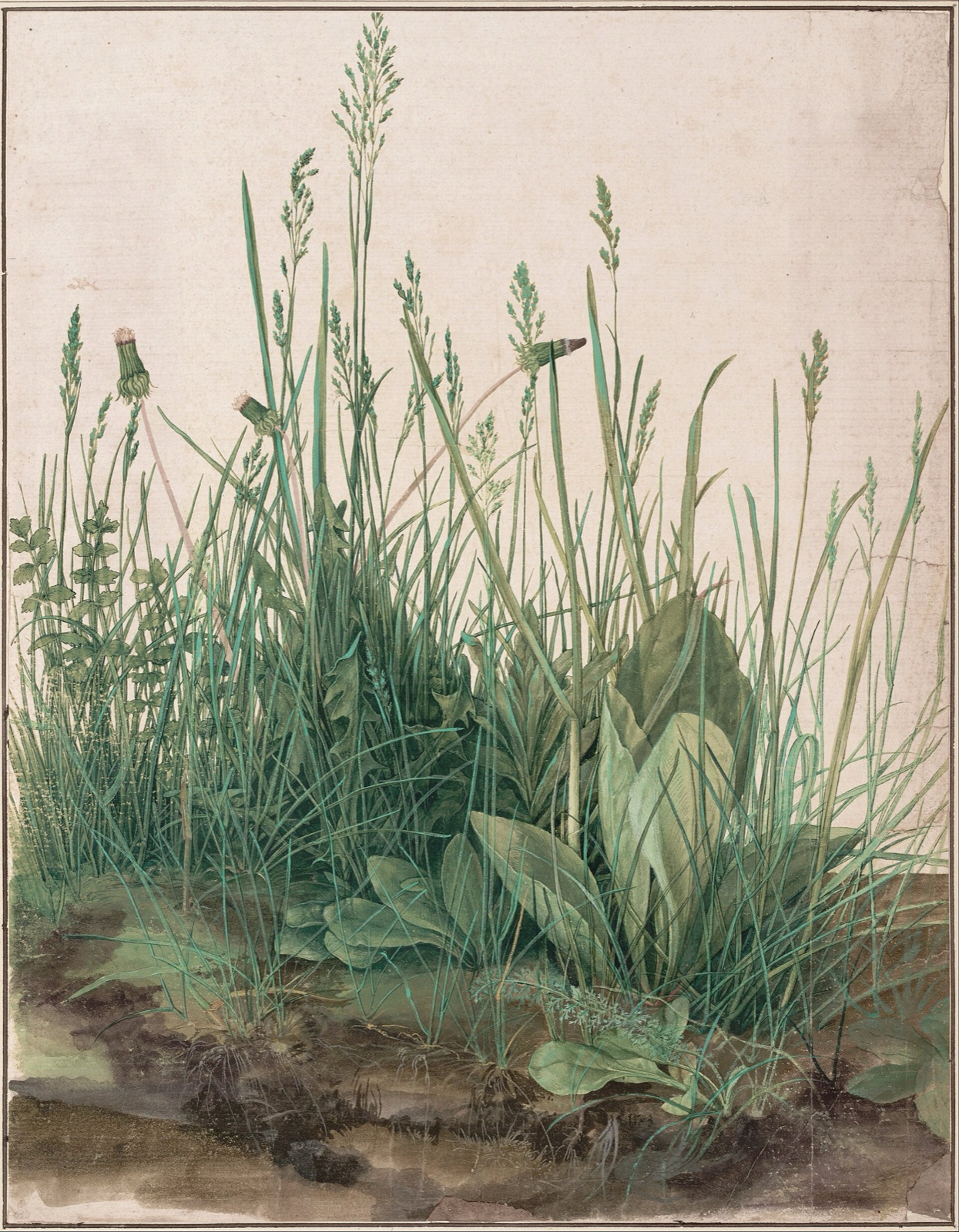 Une motte de terre d'où montent des herbes folles, des graminées et des pissenlits, peinte avec minutie sur un fond clair