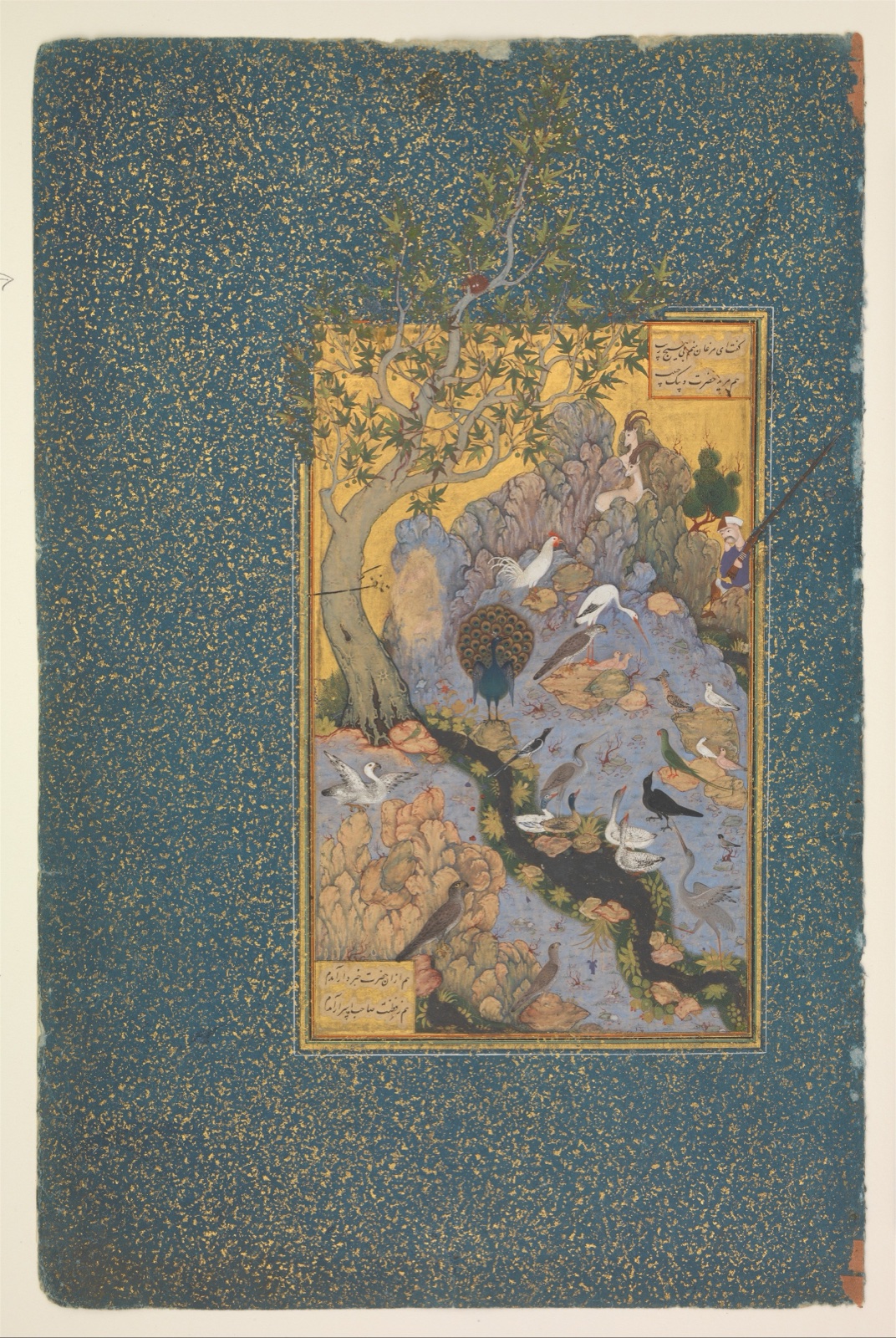 Miniature persane : des oiseaux, dont un paon, rassemblés près d'un ruisseau au pied d'un rocher ; les branches d'un arbre débordent du cadre sur une large marge bleue semée d'or